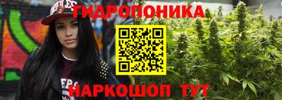 индика Малгобек