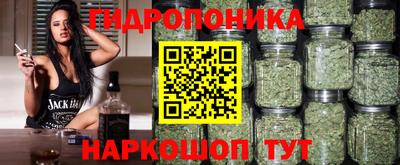 крисы Мариинск