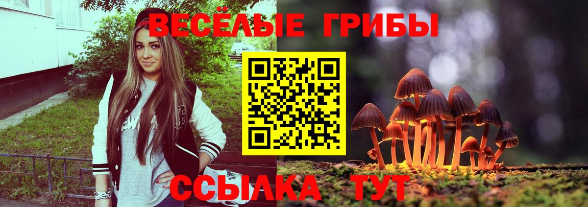 Галлюциногенные грибы прущие грибы  Псилоцибиновые грибы мицелий  Вход с VPN  Димитровград 