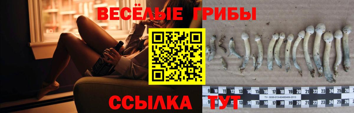 Галлюциногенные грибы Magic Shrooms Димитровград